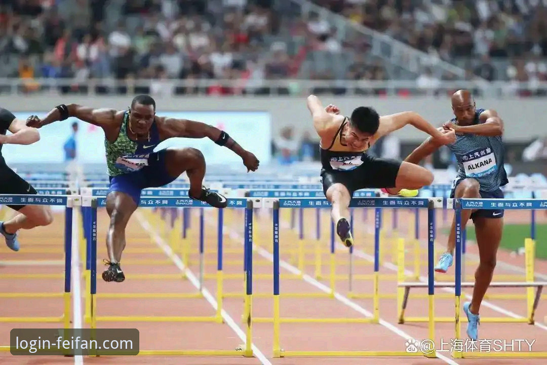 非凡体育登录入口实用指南：安全访问与流畅体验必备知识